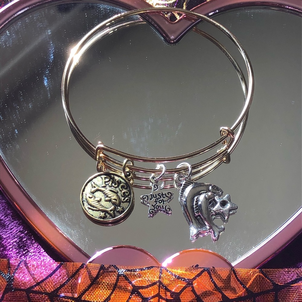 Pisces ♓️ charm bangle
